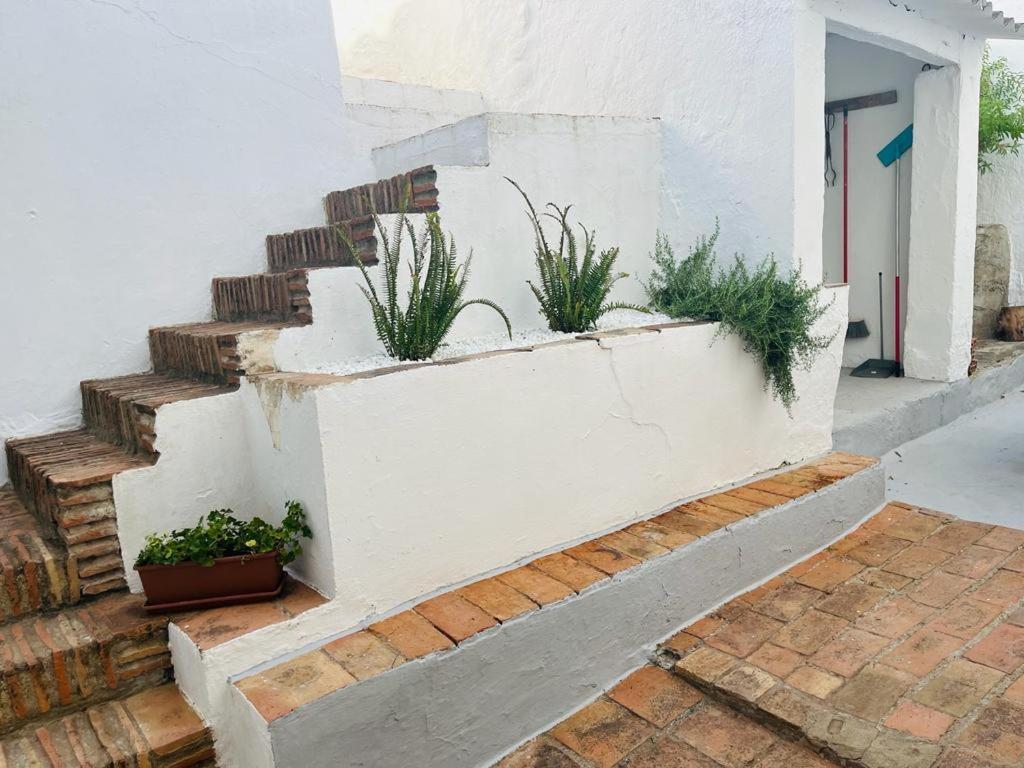 Casa Rural Dona Catalina Jimena De La Frontera Eksteriør billede
